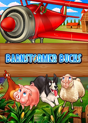 Barnstormer Bucks
